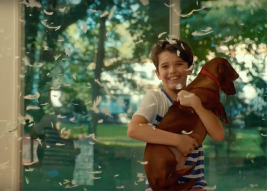 weinerdog.jpg.CROP.promo-xlarge2