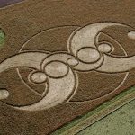 crop_circle-3b