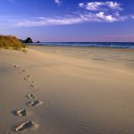 footprint