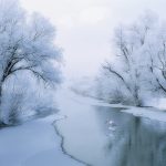 snow-1