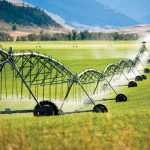 agriculture-horticulture