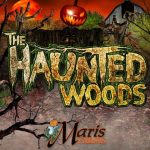 2015-maris-farms-haunted-woods-1-2179272-regular