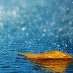 rain