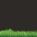 2018_Season_PlaypageHeader_Wolves