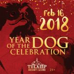 TRC-LunarNewYear-2018-300×250-WEB
