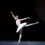 SwanLake2015 0331