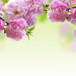 春暖花開