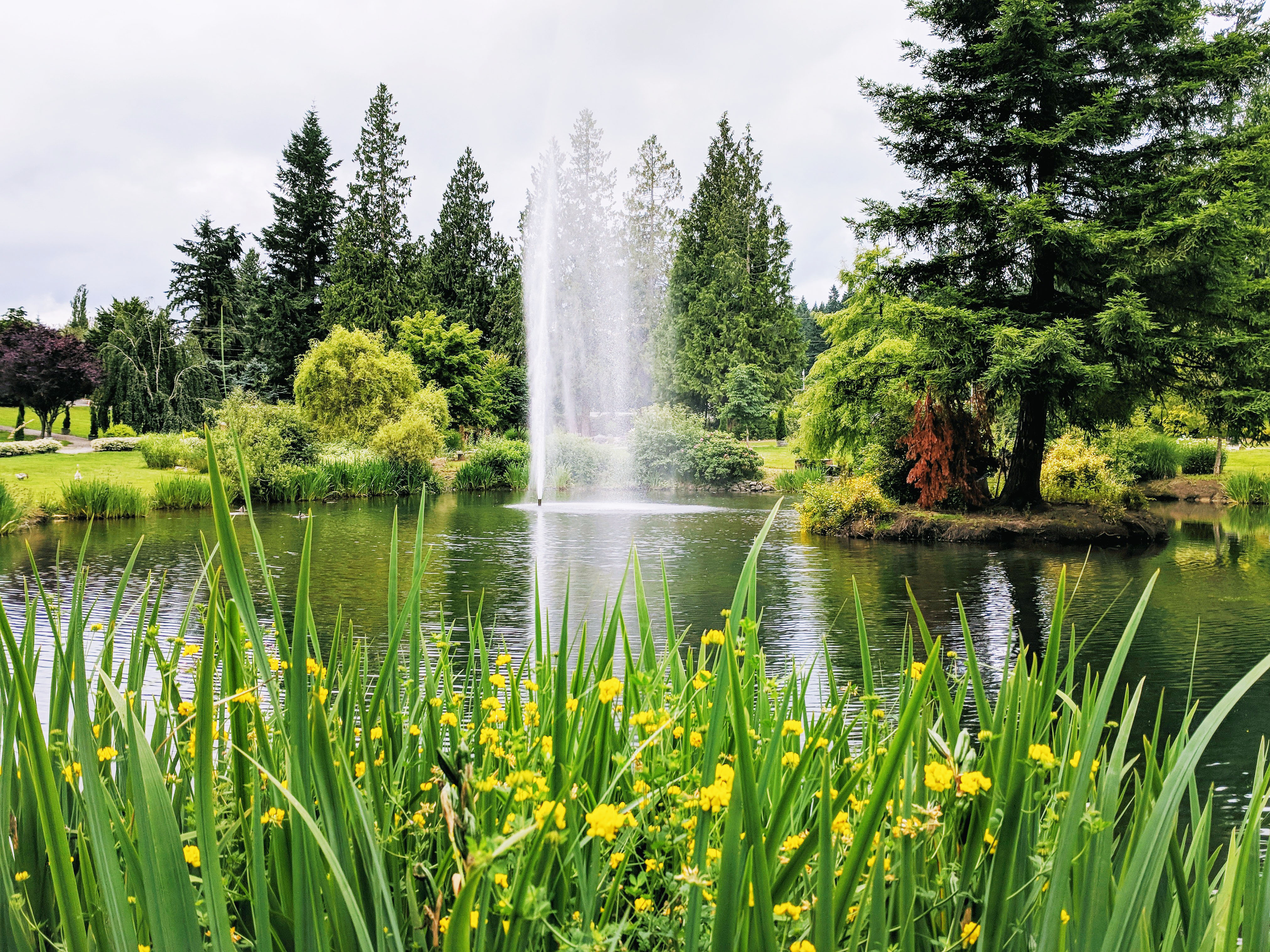 盛夏好去處：西北最大花市Flower World | Seattle Chinese Times