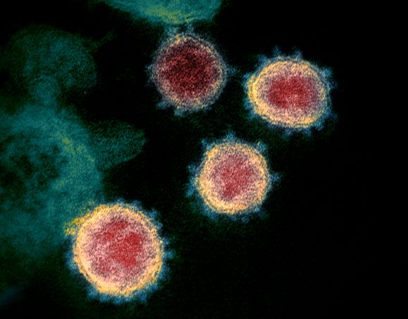 華州每天新增 1,500 例 醫院再次「人滿為患」