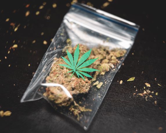 華州自實施娛樂大麻合法化後 十年來銷量首次下滑
