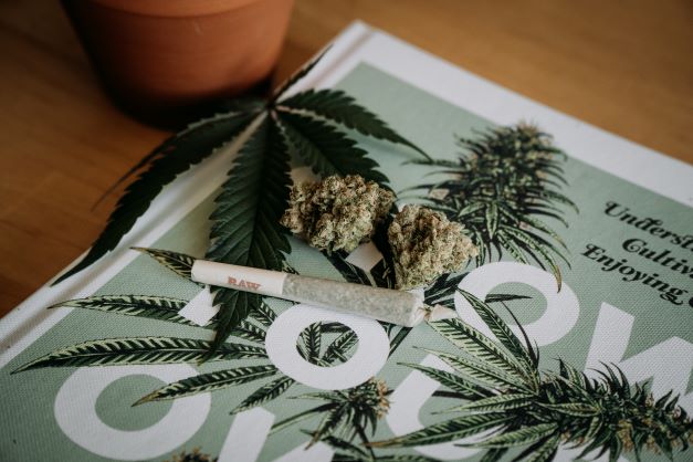 调查发现西雅图大麻比尼古丁使用者高出7%仅次波特兰地区