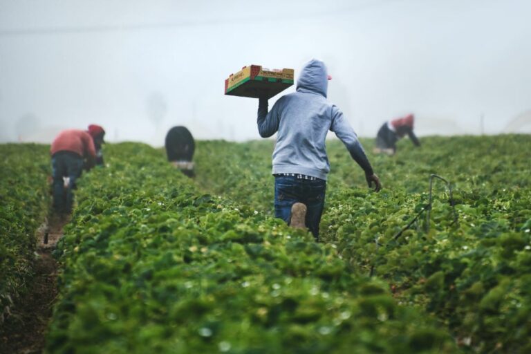 華州僱主對新的工人防暑規定表示反對