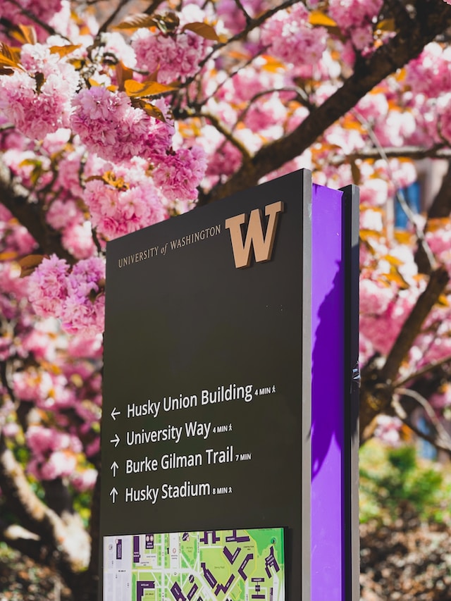 華州本地學生大學入學率大幅下降