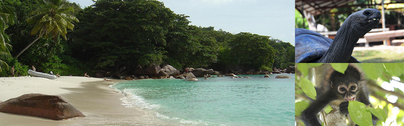 庫瑞爾島（Curieuse Island）　塞舌耳