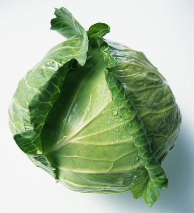 Cabbage