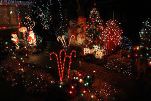 Candy Cane Lane