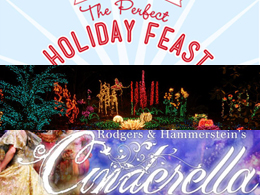 The Perfect Holiday Feast, Garden d'Lights, Cinderella