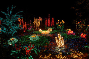 Garden d'Lights