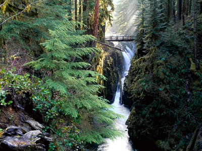 Olympic National Park