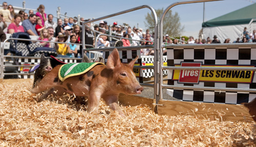 Spring Fair (Photo Credit Patrick Hagerty)