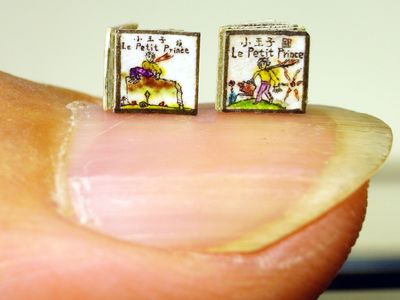 Smallest Book