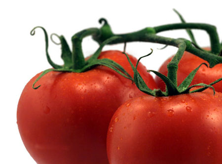 Tomato